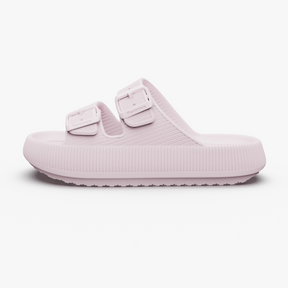 Pammys - Pas 2025